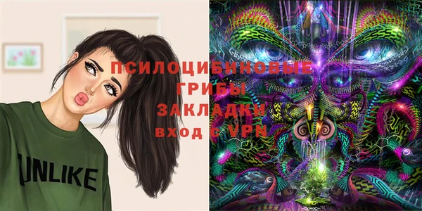 индика Горнозаводск