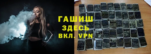 индика Горнозаводск