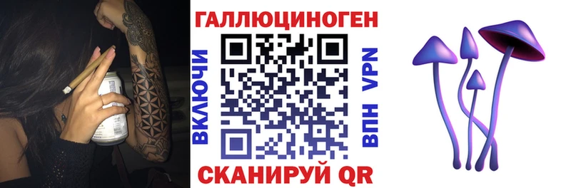 Псилоцибиновые грибы Psilocybe  Заринск 